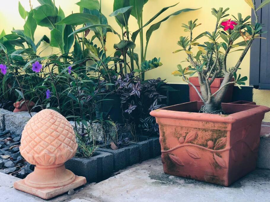 Fisherman Village Boutique Villas - Beachfront 함떤현 외부 사진
